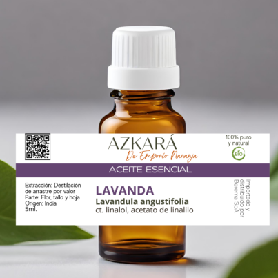 Lavanda