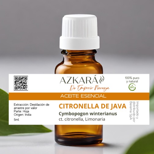 citronella