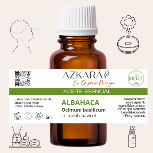 albahaca 4