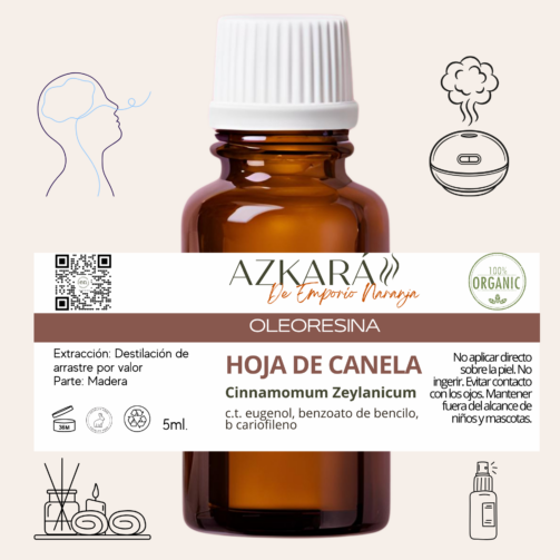 hoja canela 4