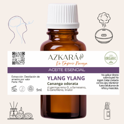 ylang 4