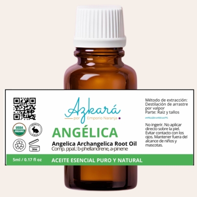 angelica 4