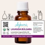 bulgara 4