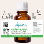hierbabuena 4