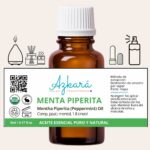 menta piperita 4