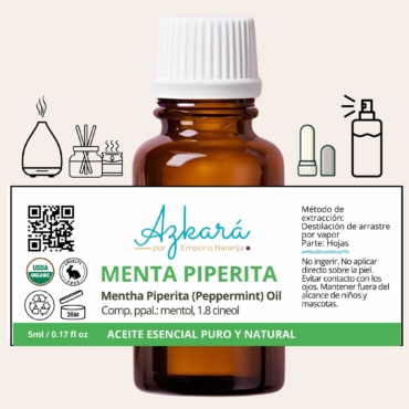 menta piperita 4